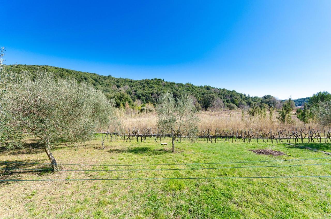 Apartments Vesna Kampor Εξωτερικό φωτογραφία